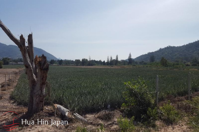 11 Rai Land in Hua Hin Soi 102 - Soi 102 - photo 3