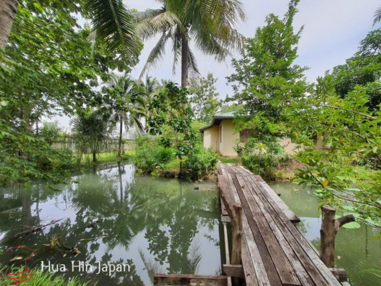 7 Rai Land on the way to Huay Mongkol Temple - Hua Hin - photo 8
