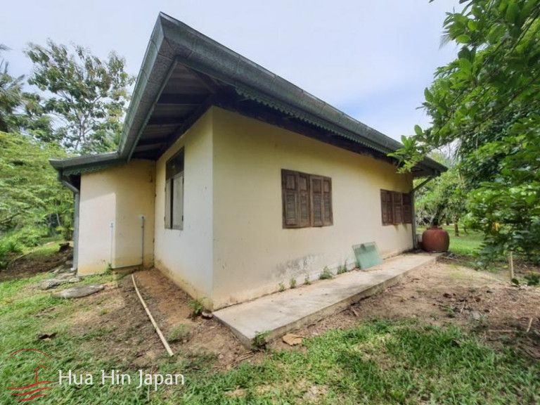 7 Rai Land on the way to Huay Mongkol Temple - Hua Hin - photo 7