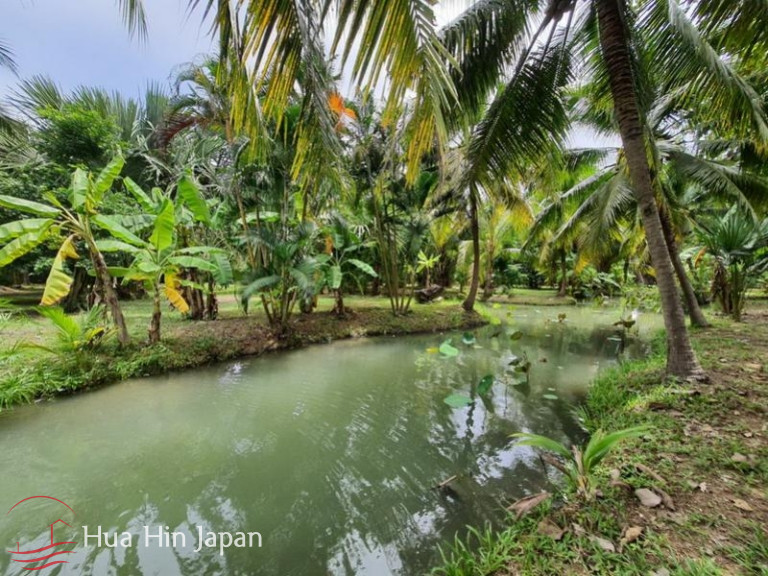 7 Rai Land on the way to Huay Mongkol Temple - Hua Hin - photo 6