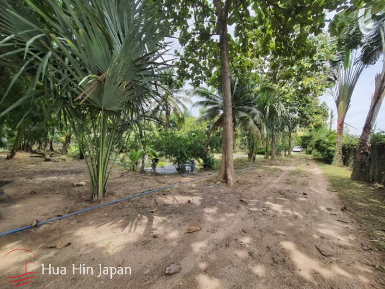 7 Rai Land on the way to Huay Mongkol Temple - Hua Hin - photo 5
