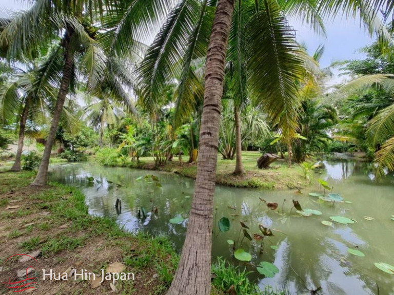7 Rai Land on the way to Huay Mongkol Temple - Hua Hin - photo 4