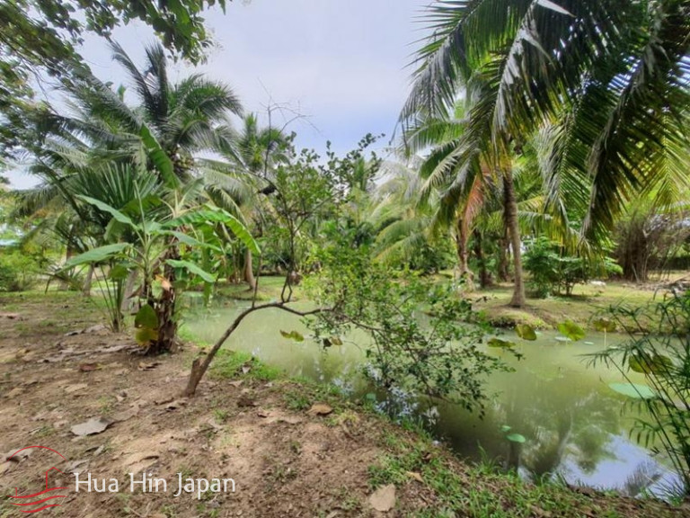 7 Rai Land on the way to Huay Mongkol Temple - Hua Hin - photo 3