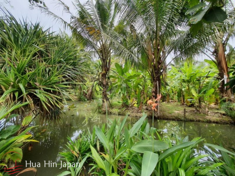 7 Rai Land on the way to Huay Mongkol Temple - Hua Hin - photo 2