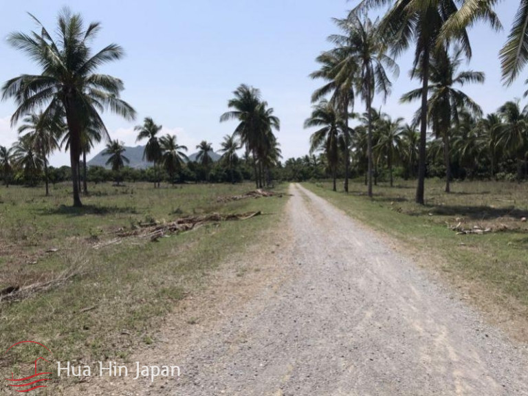 6 Rai Land only 500 meter from Dolphin Bay Beach - Hua Hin - photo 5