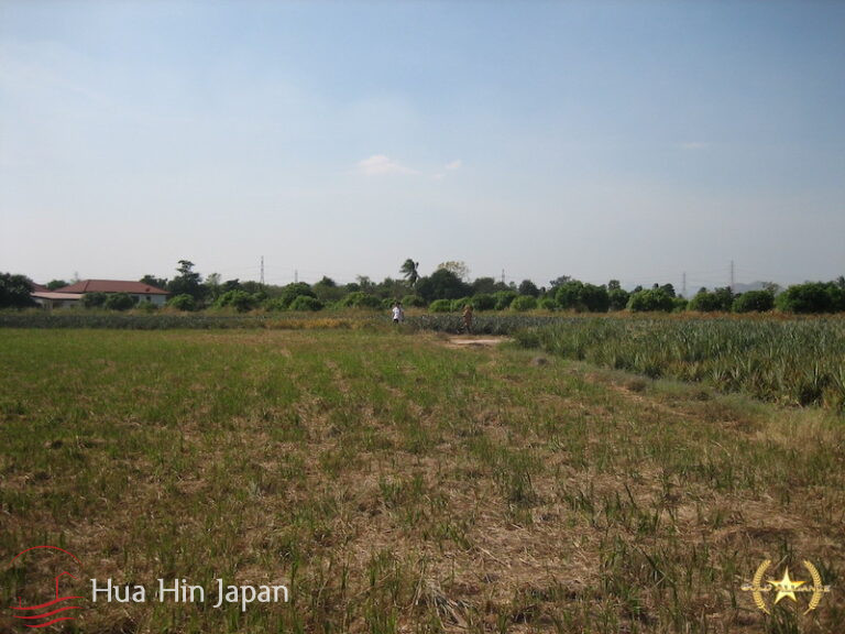 5 Rai of Land for sale near Wat Huay Mongkol Hua Hin - Hin Lek Fai - photo 9