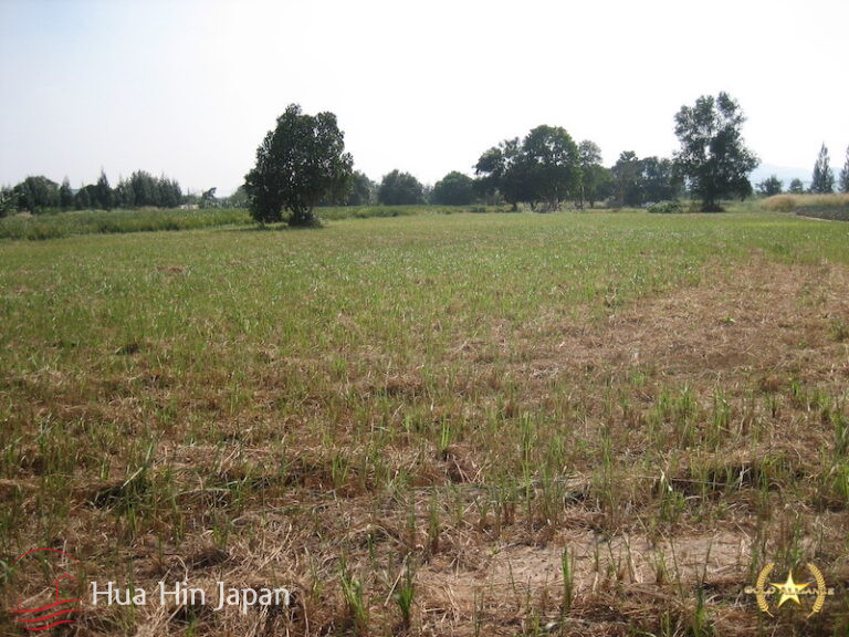 5 Rai of Land for sale near Wat Huay Mongkol Hua Hin - Hin Lek Fai - photo 8