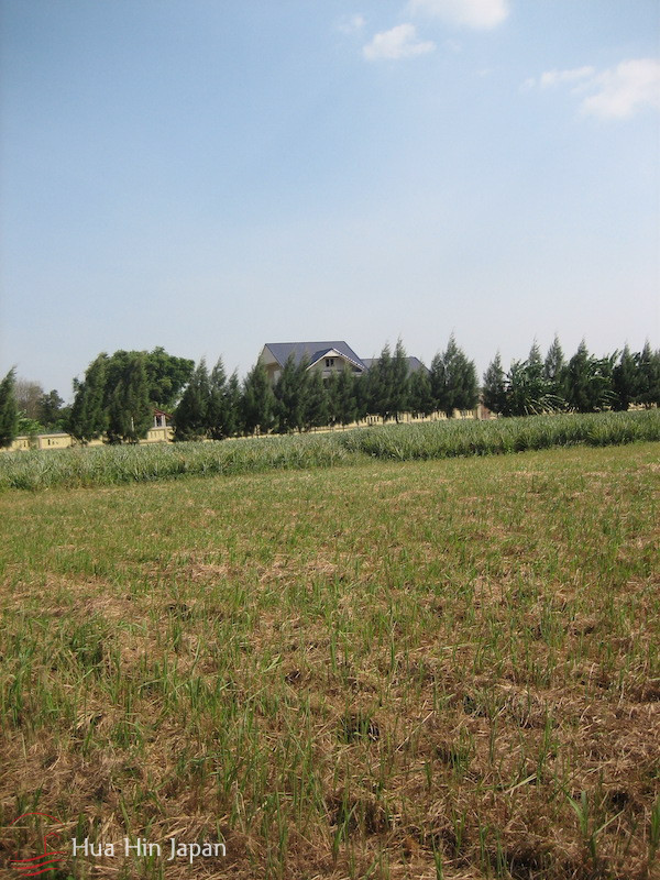 5 Rai of Land for sale near Wat Huay Mongkol Hua Hin - Hin Lek Fai - photo 7