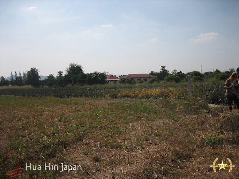 5 Rai of Land for sale near Wat Huay Mongkol Hua Hin - Hin Lek Fai - photo 6