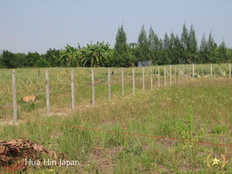 5 Rai of Land for sale near Wat Huay Mongkol Hua Hin - Hin Lek Fai - photo 5