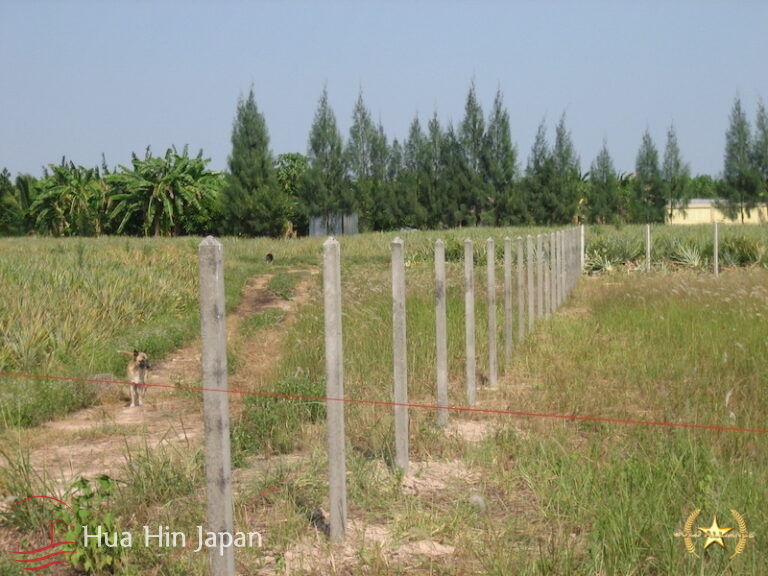 5 Rai of Land for sale near Wat Huay Mongkol Hua Hin - Hin Lek Fai - photo 4