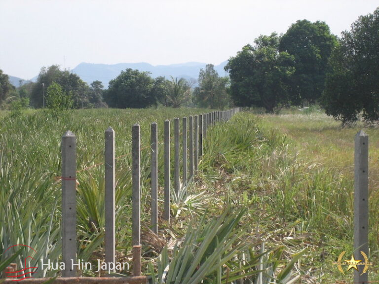 5 Rai of Land for sale near Wat Huay Mongkol Hua Hin - Hin Lek Fai - photo 3