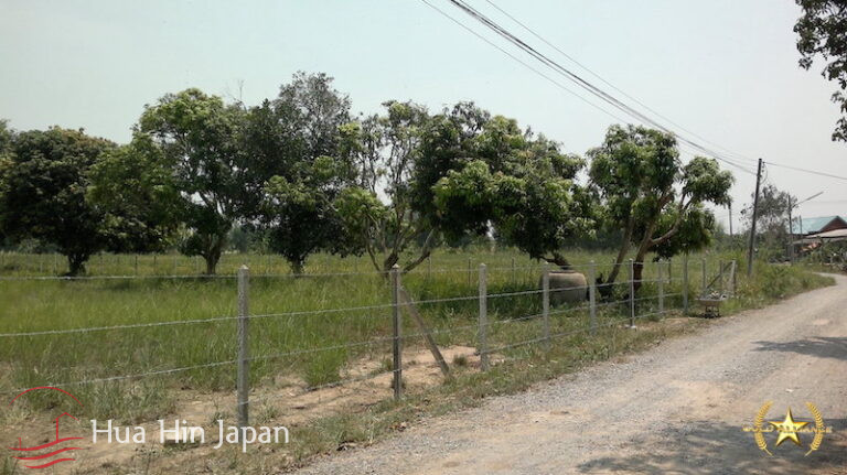5 Rai of Land for sale near Wat Huay Mongkol Hua Hin - Hin Lek Fai - photo 2