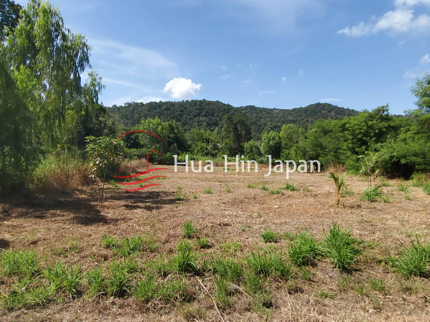 795 Sqm Residential Land – Near Halio International School - Hua Hin - photo 4