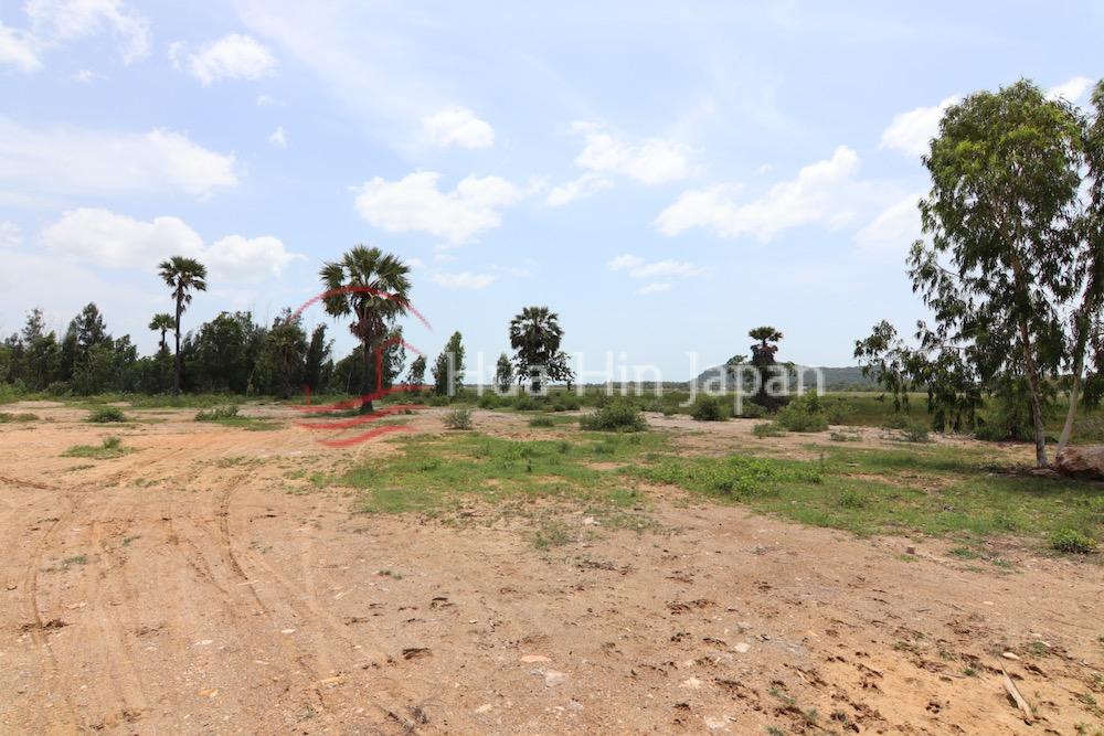 Prime Land for Sale Near Khao Kalok Beach, Pranburi - Pranburi, Thailand