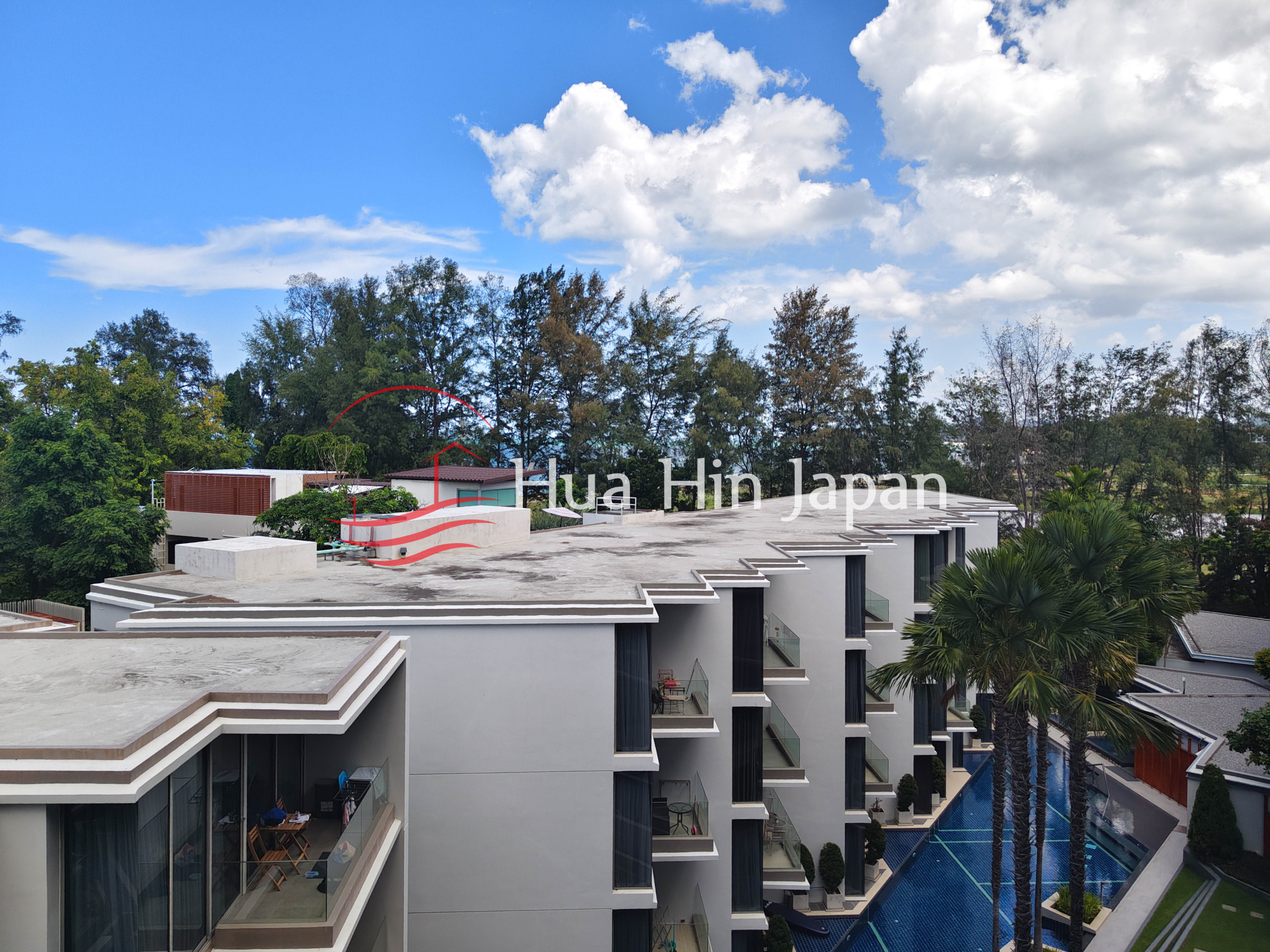 1 Bedroom Pool View condo