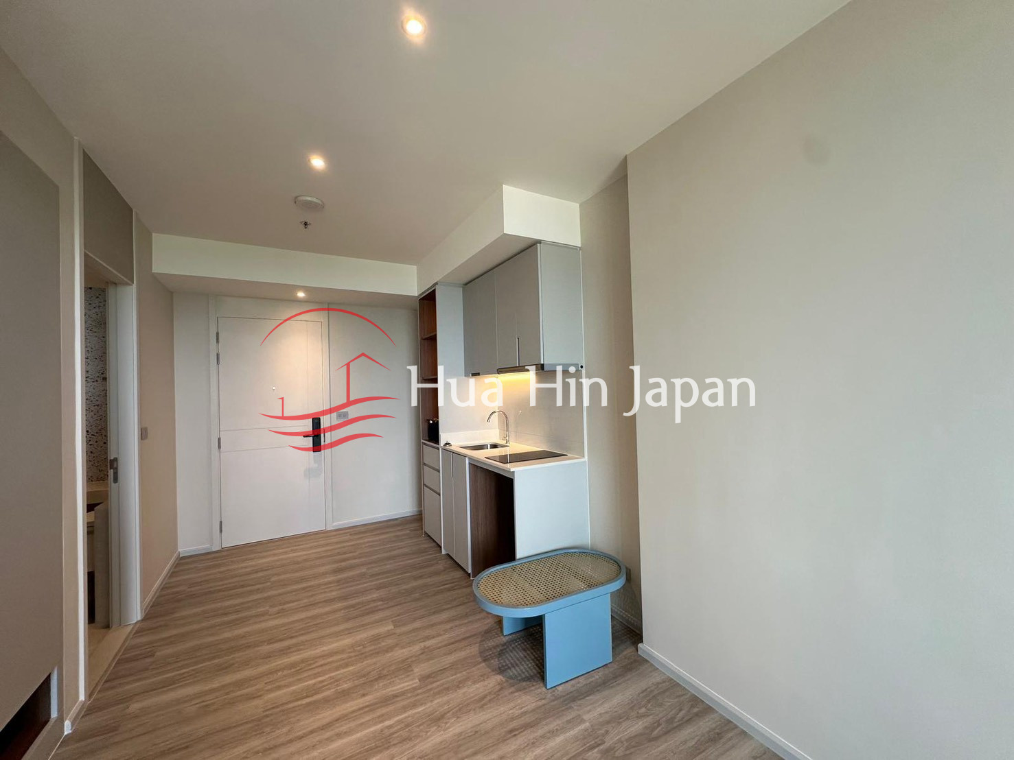 Modern apartment interior with compact kitchen, entry door, and wooden flooring