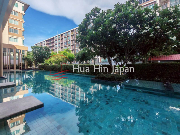 Large outdoor swimming pool surrounded by tropical trees and resort buildings