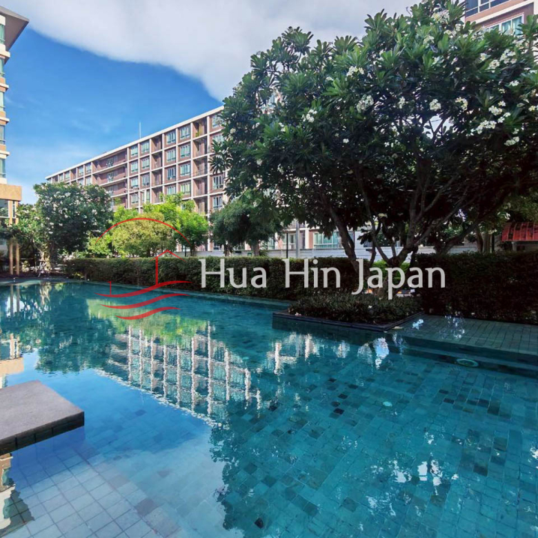 Large outdoor swimming pool surrounded by tropical trees and resort buildings